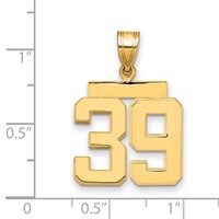 14K Yellow Gold Medium Polished Number 39 Charm view 2