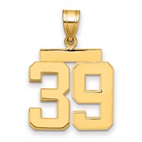 14K Yellow Gold Medium Polished Number 39 Charm view 1