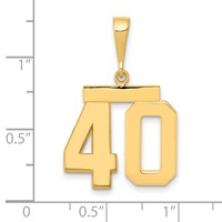 14K Medium Polished Number 40 Charm view 2