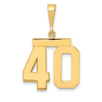 14K Medium Polished Number 40 Charm view 1