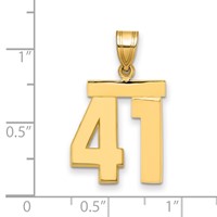 14K Medium Polished Number 41 Charm view 3