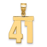14K Medium Polished Number 41 Charm view 1