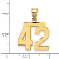 14K Yellow Gold Medium Polished Number 42 Charm view 2