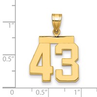 14K Yellow Gold Medium Polished Number 43 Charm view 2