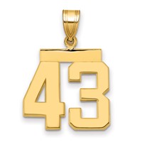 14K Yellow Gold Medium Polished Number 43 Charm view 1
