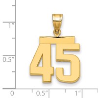 14K Yellow Gold Medium Polished Number 45 Charm view 2