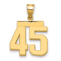 14K Yellow Gold Medium Polished Number 45 Charm view 1