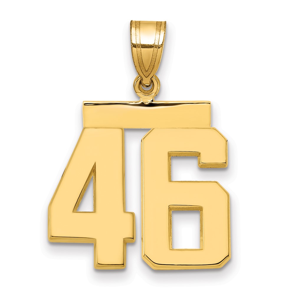 14K Yellow Gold Medium Polished Number 46 Charm