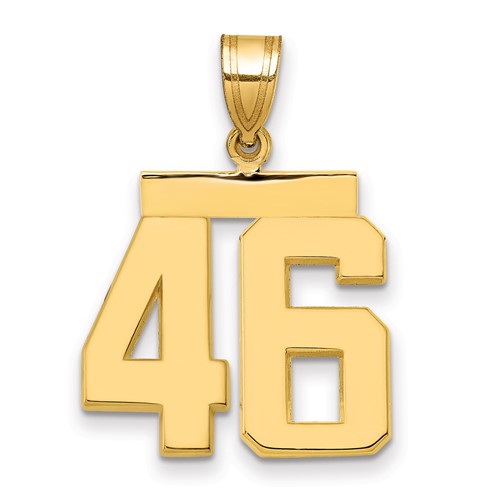 14K Yellow Gold Medium Polished Number 46 Charm
