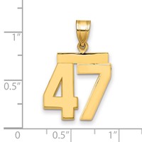 14K Yellow Gold Medium Polished Number 47 Charm view 2