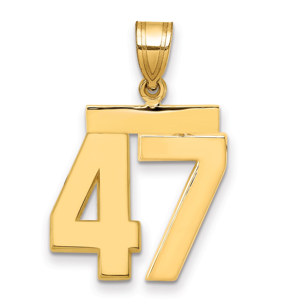 14K Yellow Gold Medium Polished Number 47 Charm