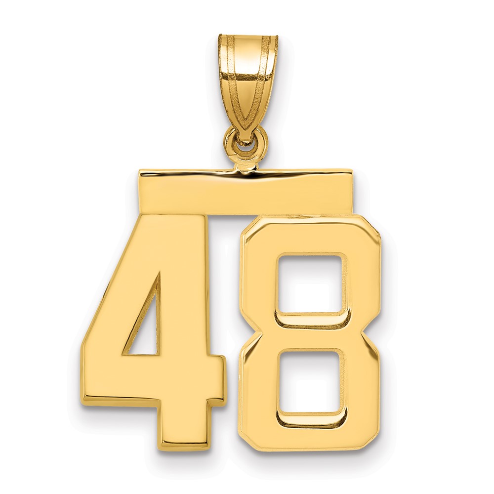 14K Yellow Gold Medium Polished Number 48 Charm