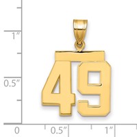 14K Yellow Gold Medium Polished Number 49 Charm view 2