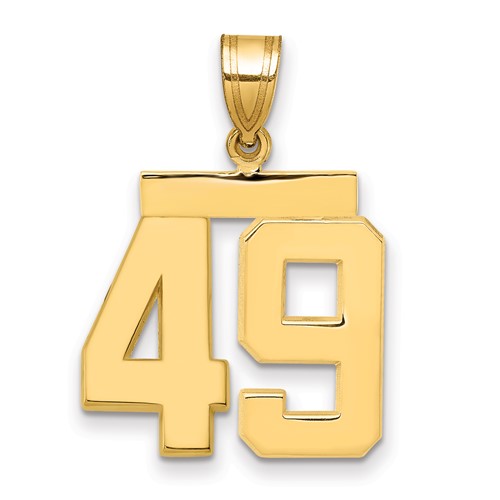 14K Yellow Gold Medium Polished Number 49 Charm