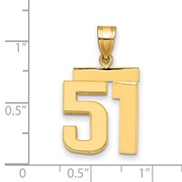 14K Yellow Gold Medium Polished Number 51 Charm view 2