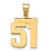 14K Yellow Gold Medium Polished Number 51 Charm view 1