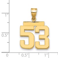 14K Yellow Gold Medium Polished Number 53 Charm view 3