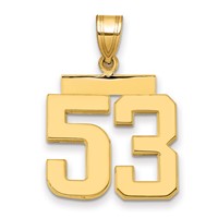 14K Yellow Gold Medium Polished Number 53 Charm view 1