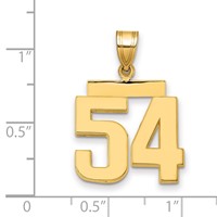 14K Yellow Gold Medium Polished Number 54 Charm view 2