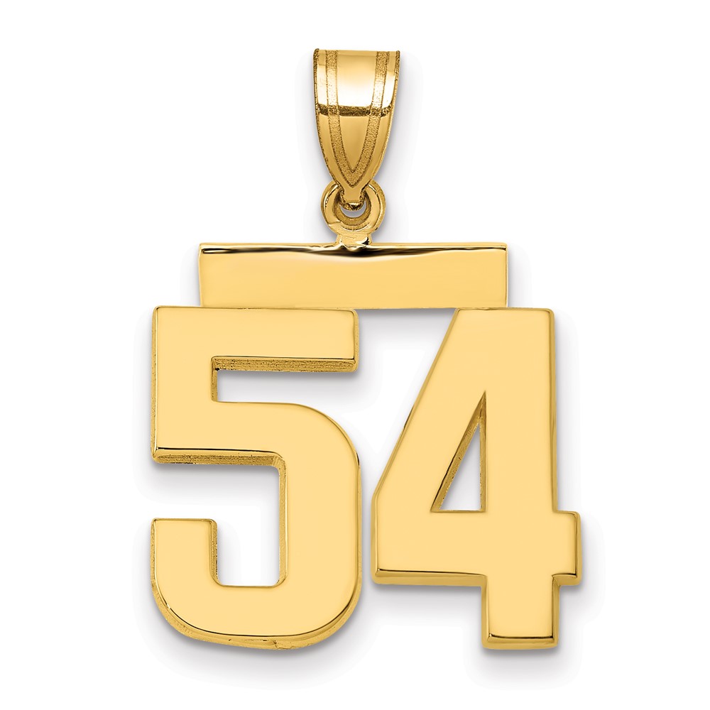 14K Yellow Gold Medium Polished Number 54 Charm