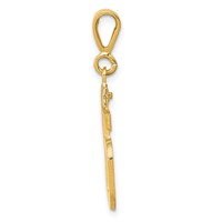 14K Yellow Gold Medium Polished Number 55 Charm view 2