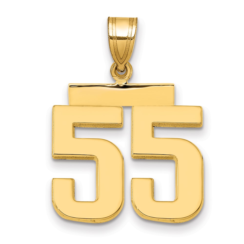 14K Yellow Gold Medium Polished Number 55 Charm