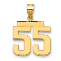 14K Yellow Gold Medium Polished Number 55 Charm view 1