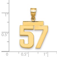 14K Yellow Gold Medium Polished Number 57 Charm view 2
