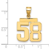 14K Yellow Gold Medium Polished Number 58 Charm view 2