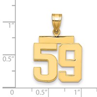 14K Yellow Gold Medium Polished Number 59 Charm view 2