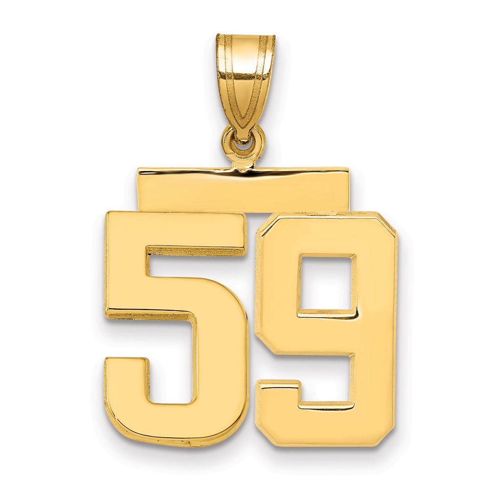 14K Yellow Gold Medium Polished Number 59 Charm