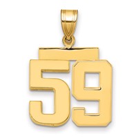 14K Yellow Gold Medium Polished Number 59 Charm view 1