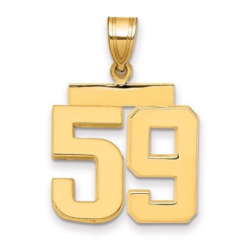 14K Yellow Gold Medium Polished Number 59 Charm
