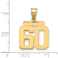 14K Yellow Gold Medium Polished Number 60 Charm view 2