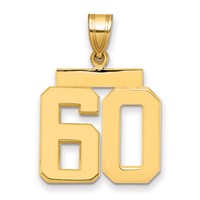 14K Yellow Gold Medium Polished Number 60 Charm view 1
