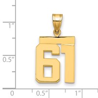 14K Yellow Gold Medium Polished Number 61 Charm view 2