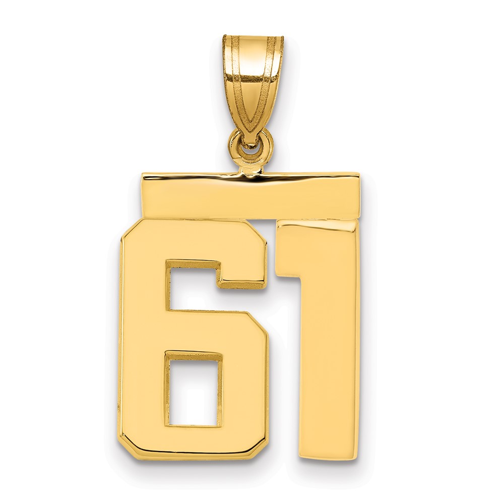 14K Yellow Gold Medium Polished Number 61 Charm