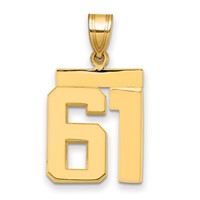 14K Yellow Gold Medium Polished Number 61 Charm view 1