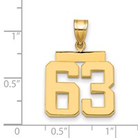 14K Yellow Gold Medium Polished Number 63 Charm view 2