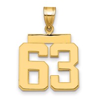 14K Yellow Gold Medium Polished Number 63 Charm view 1