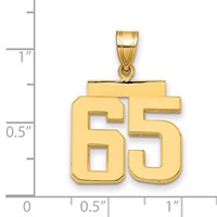 14K Medium Polished Number 65 Charm view 2