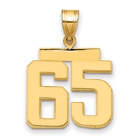 14K Medium Polished Number 65 Charm view 1