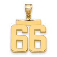 14K Yellow Gold Medium Polished Number 66 Charm view 1