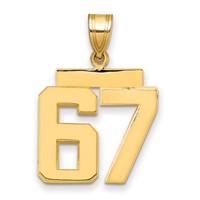 14K Yellow Gold Medium Polished Number 67 Charm view 1