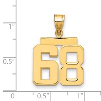 14K Yellow Gold Medium Polished Number 68 Charm view 2