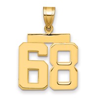 14K Yellow Gold Medium Polished Number 68 Charm view 1