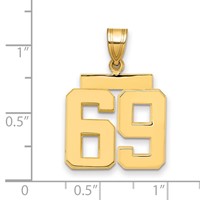 14K Yellow Gold Medium Polished Number 69 Charm view 2