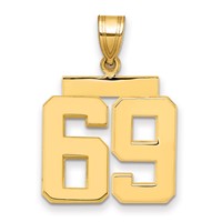 14K Yellow Gold Medium Polished Number 69 Charm view 1