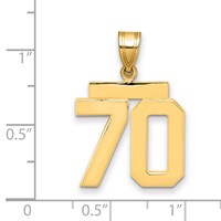 14K Yellow Gold Medium Polished Number 70 Charm view 2