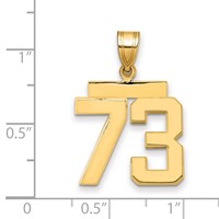14K Yellow Gold Medium Polished Number 73 Charm view 2